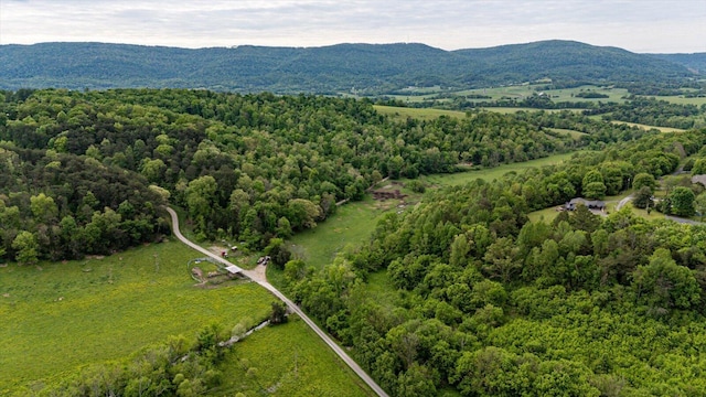 34 Mule Ln, Pikeville, TN 37367 - photo 41