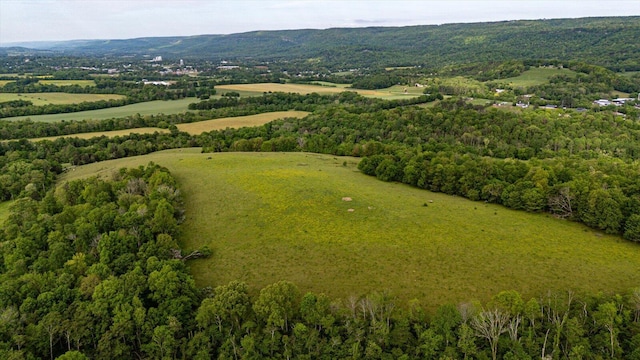 34 Mule Ln, Pikeville, TN 37367 - photo 20