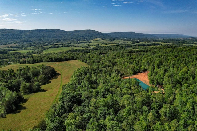 34 Mule Ln, Pikeville, TN 37367 - photo 82