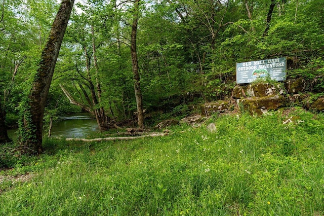 34 Mule Ln, Pikeville, TN 37367 - photo 31
