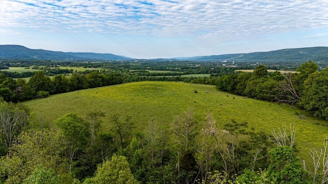 34 Mule Ln, Pikeville, TN 37367 - photo 21
