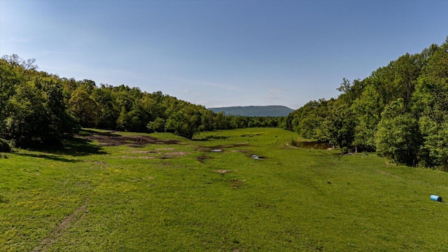 34 Mule Ln, Pikeville, TN 37367 - photo 61