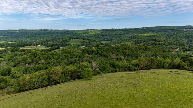 34 Mule Ln, Pikeville, TN 37367 - photo 11