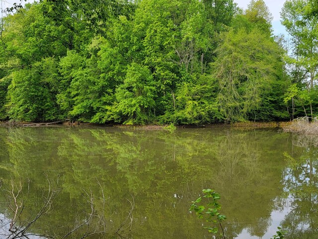 00 Scoggins Ln, Dayton, TN 37321
