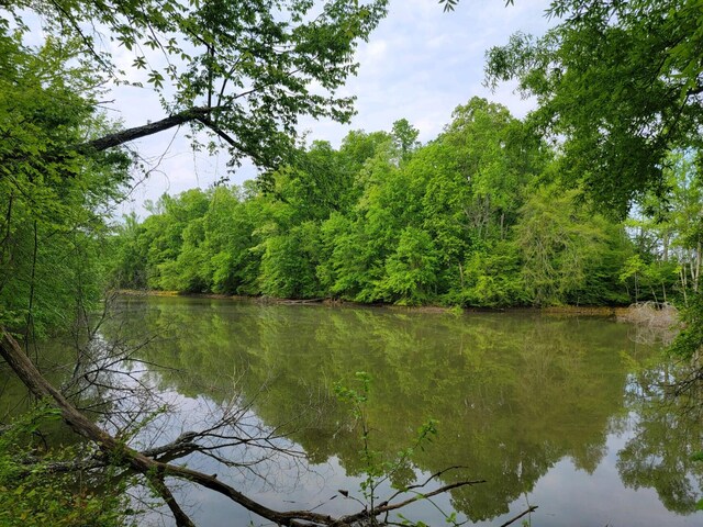 00 Scoggins Ln, Dayton, TN 37321