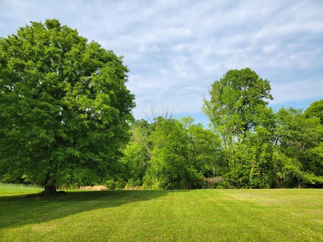 00 Scoggins Ln, Dayton, TN 37321