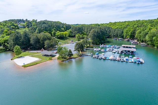 drone / aerial view with a water view and a view of trees