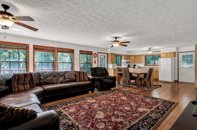 living room featuring a textured ceiling, a wealth of natural light, and dark wood-type flooring