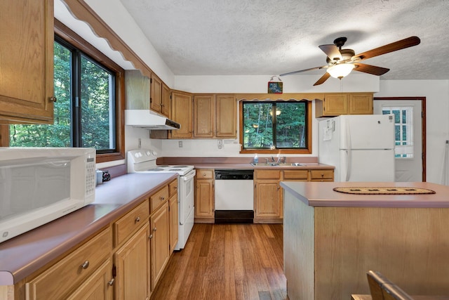 kitchen featuring a textured ceiling, white appliances, ceiling fan, sink, and light hardwood / wood-style flooring