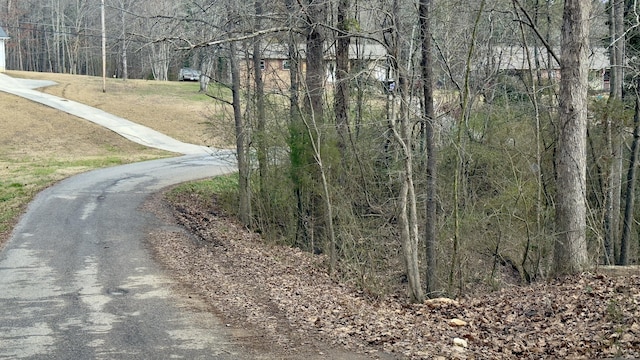 Listing photo 2 for 000 Adams St, Spring City TN 37381