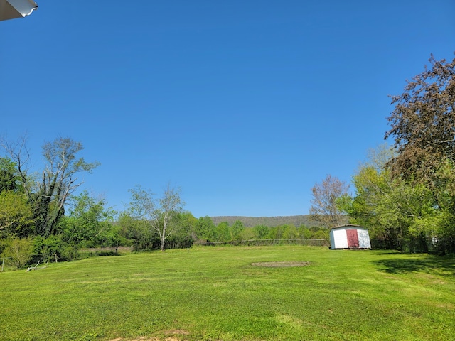 view of yard with a storage shed, a detached garage, and an outbuilding