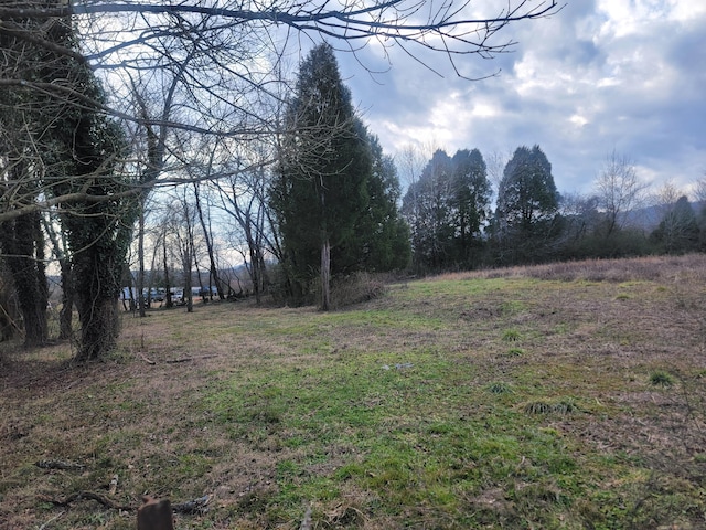 view of nature