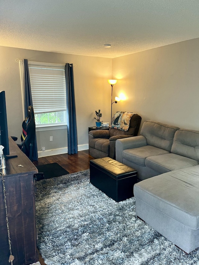 9 Edwards Ter, Chattanooga, TN 37412 - living area featuring wood finished floors and a textured ceiling