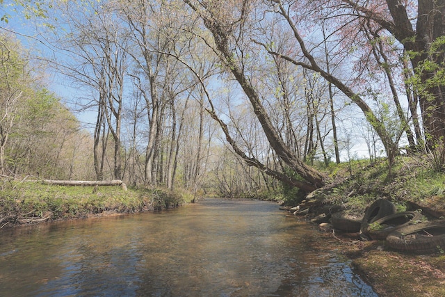626 Brush Creek Rd, Copperhill, TN 37317 - view of water feature