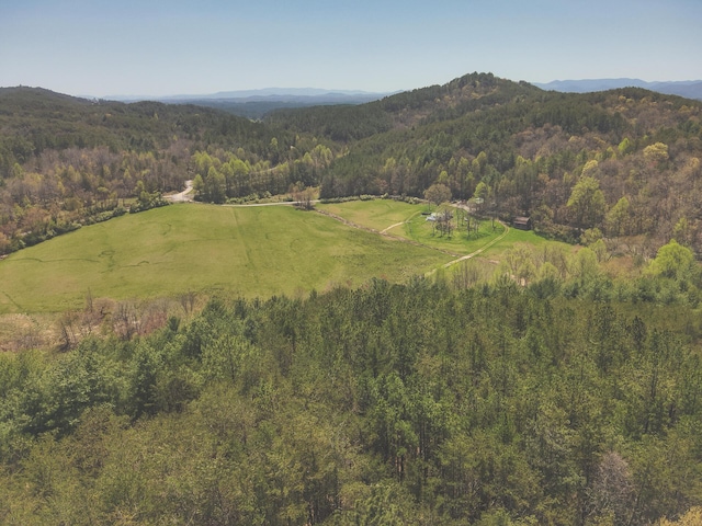 626 Brush Creek Rd, Copperhill, TN 37317 - bird's eye view with a forest view and a mountain view