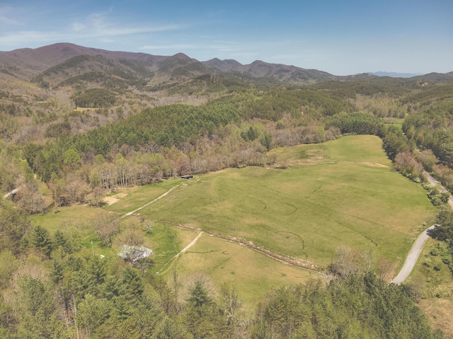 626 Brush Creek Rd, Copperhill, TN 37317 - bird's eye view with a mountain view