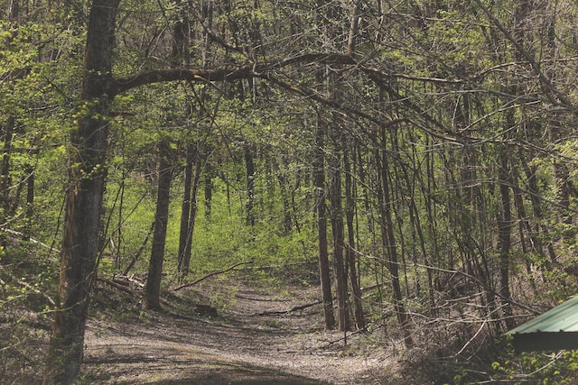 626 Brush Creek Rd, Copperhill, TN 37317 - view of local wilderness with a forest view