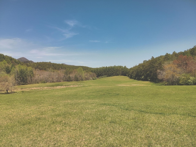 626 Brush Creek Rd, Copperhill, TN 37317 - view of local wilderness with a forest view