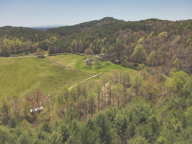 626 Brush Creek Rd, Copperhill, TN 37317 - aerial view featuring a forest view