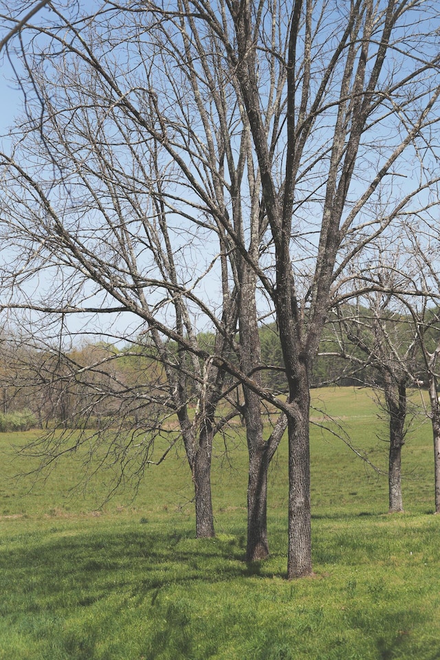 626 Brush Creek Rd, Copperhill, TN 37317 - view of local wilderness
