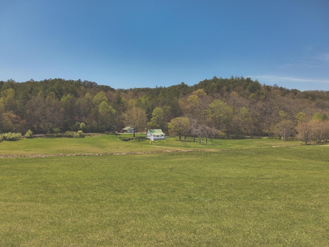 626 Brush Creek Rd, Copperhill, TN 37317 - exterior space with a rural view and a view of trees