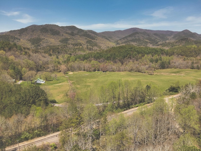 626 Brush Creek Rd, Copperhill, TN 37317 - mountain view featuring a forest view