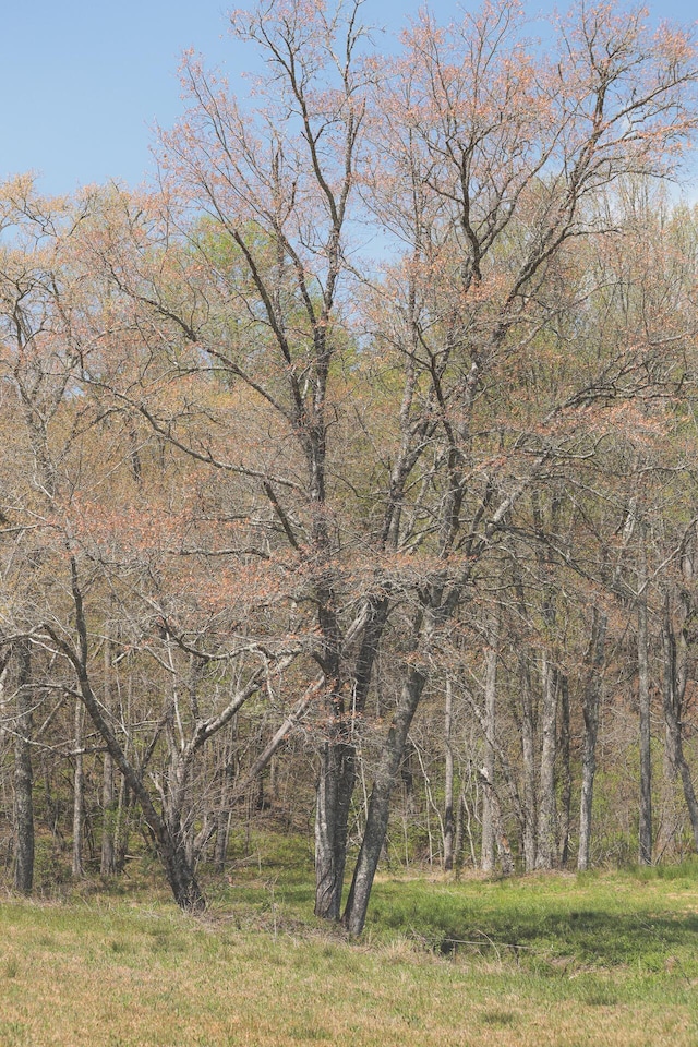 626 Brush Creek Rd, Copperhill, TN 37317 - view of landscape featuring a forest view