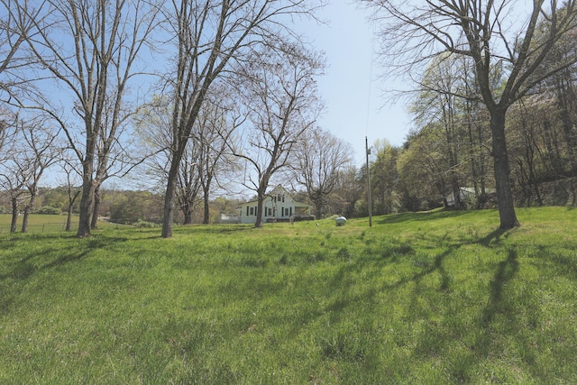 626 Brush Creek Rd, Copperhill, TN 37317 - view of yard