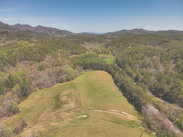 626 Brush Creek Rd, Copperhill, TN 37317 - bird's eye view featuring a forest view and a mountain view