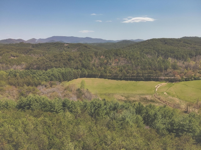 626 Brush Creek Rd, Copperhill, TN 37317 - mountain view with a view of trees