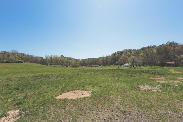 626 Brush Creek Rd, Copperhill, TN 37317 - view of yard featuring a view of trees and a rural view