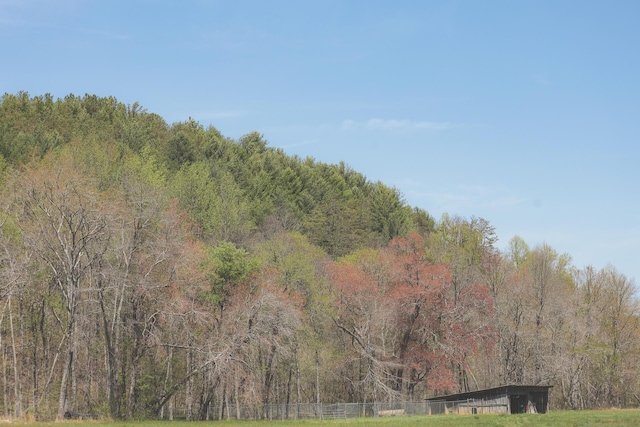 626 Brush Creek Rd, Copperhill, TN 37317 - view of local wilderness with a forest view
