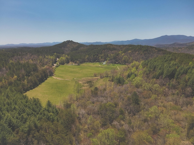 626 Brush Creek Rd, Copperhill, TN 37317 - property view of mountains with a view of trees