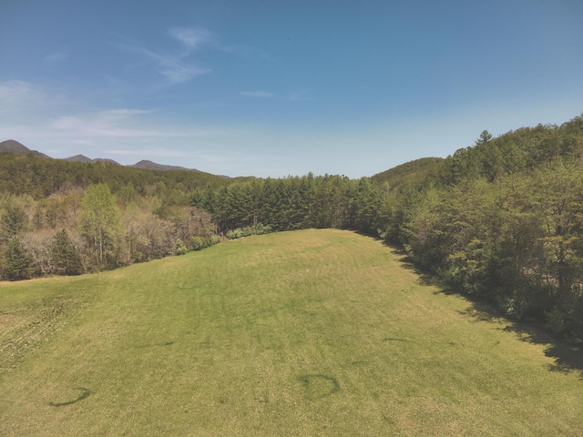 626 Brush Creek Rd, Copperhill, TN 37317 - exterior space featuring a mountain view and a wooded view