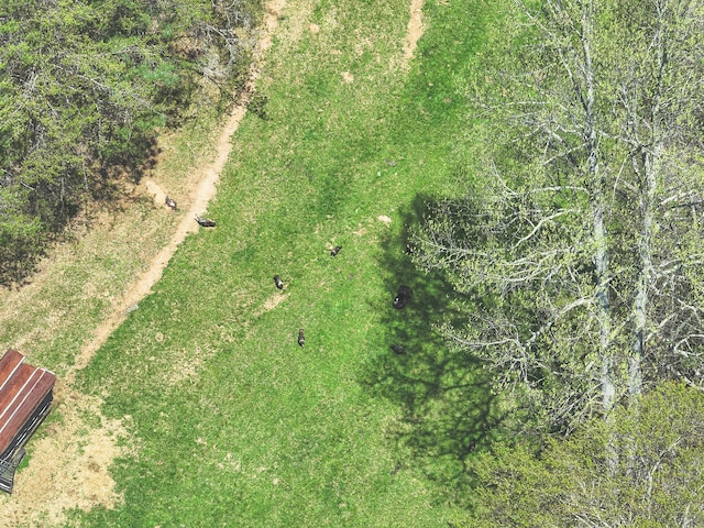 626 Brush Creek Rd, Copperhill, TN 37317 - bird's eye view