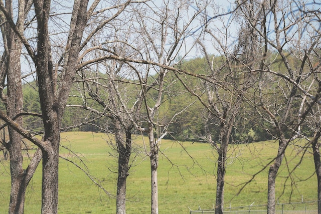 626 Brush Creek Rd, Copperhill, TN 37317 - exterior space