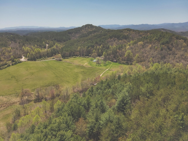 626 Brush Creek Rd, Copperhill, TN 37317 - view of mountain feature featuring a wooded view