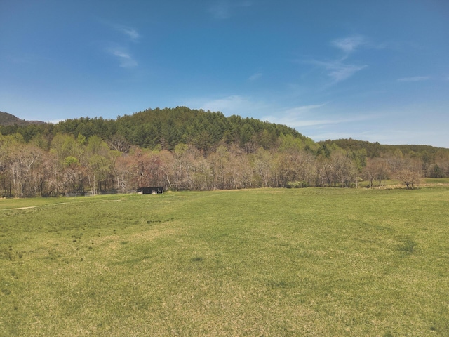626 Brush Creek Rd, Copperhill, TN 37317 - view of mountain feature with a rural view and a forest view