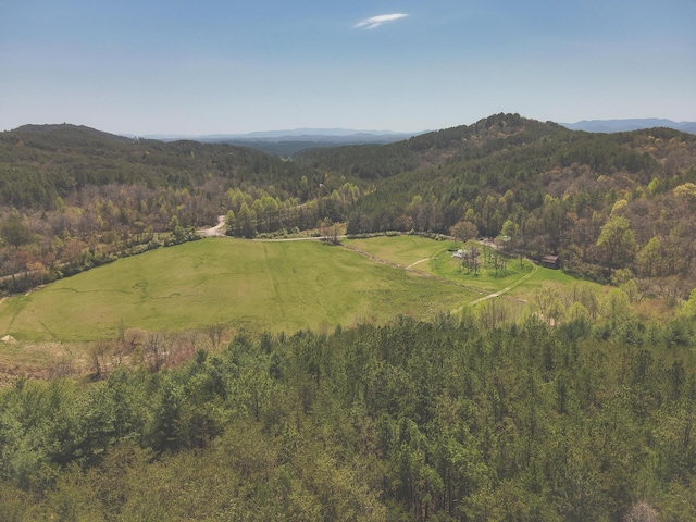 626 Brush Creek Rd, Copperhill, TN 37317 - aerial view featuring a view of trees and a mountain view
