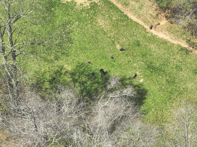626 Brush Creek Rd, Copperhill, TN 37317 - birds eye view of property