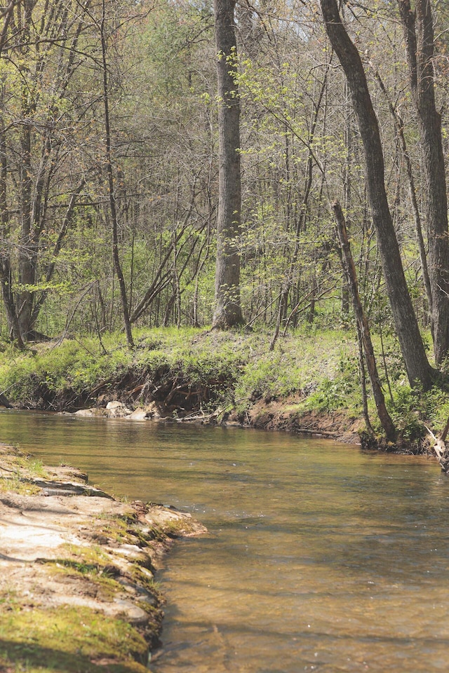 626 Brush Creek Rd, Copperhill, TN 37317 - water view