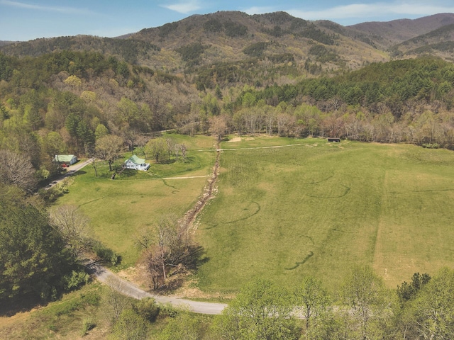626 Brush Creek Rd, Copperhill, TN 37317 - drone / aerial view with a mountain view, a view of trees, and a rural view
