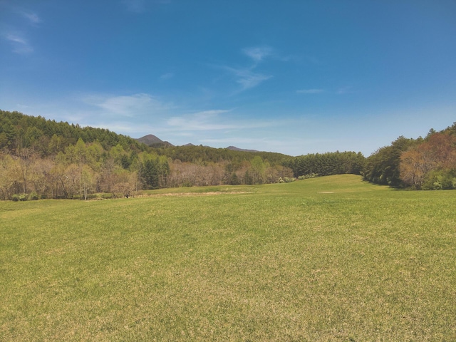 626 Brush Creek Rd, Copperhill, TN 37317 - view of yard featuring a mountain view and a view of trees