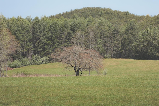 626 Brush Creek Rd, Copperhill, TN 37317 - view of landscape with a forest view