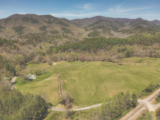 626 Brush Creek Rd, Copperhill, TN 37317 - property view of mountains