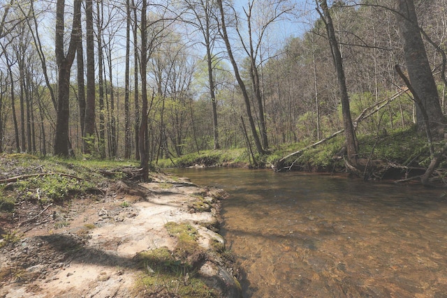 626 Brush Creek Rd, Copperhill, TN 37317 - view of local wilderness