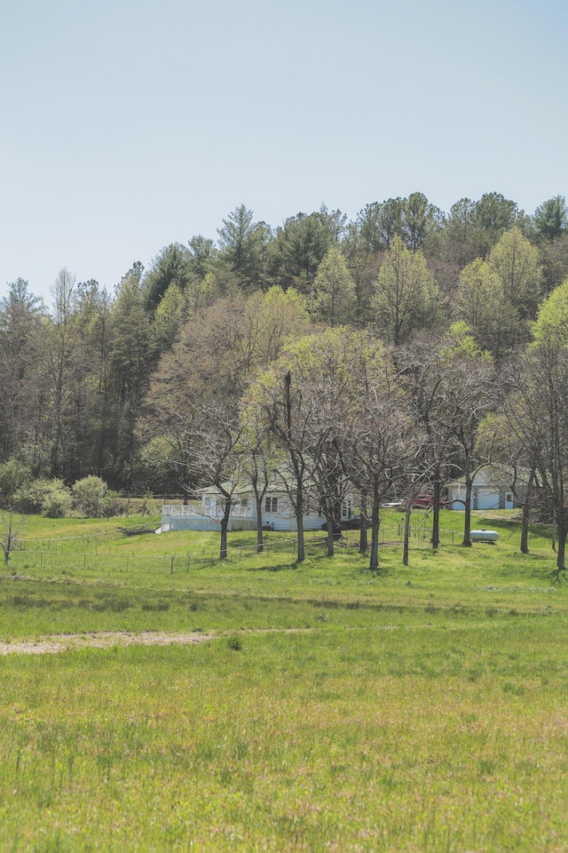 626 Brush Creek Rd, Copperhill, TN 37317 - view of yard