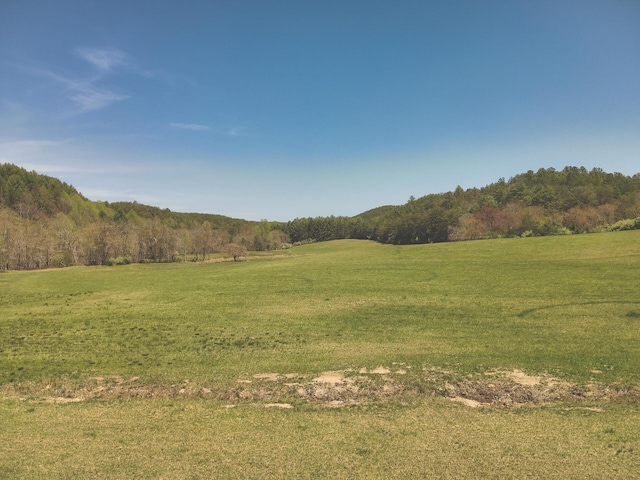 626 Brush Creek Rd, Copperhill, TN 37317 - view of nature featuring a rural view and a forest view