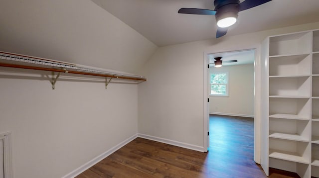 walk in closet with ceiling fan and dark wood-type flooring