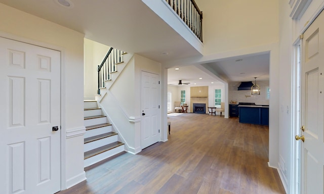 foyer with ceiling fan and dark hardwood / wood-style floors